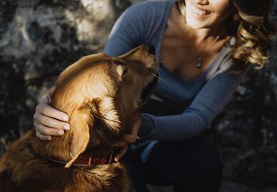 A woman gently interacts with a golden retriever dog, smiling in a serene setting.