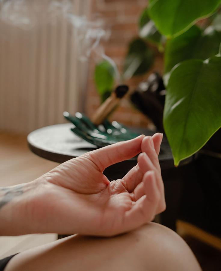 Hand in a meditative position, with smoke rising and plants in the background.
