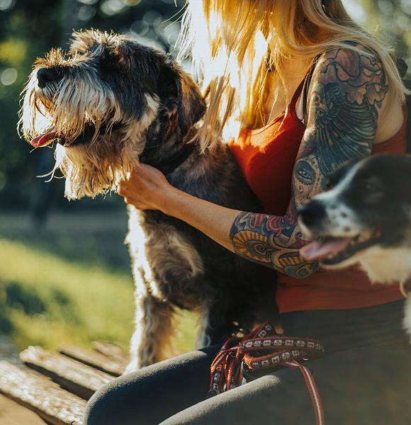 A woman sits outdoors, holding a dog in her lap with another dog nearby.